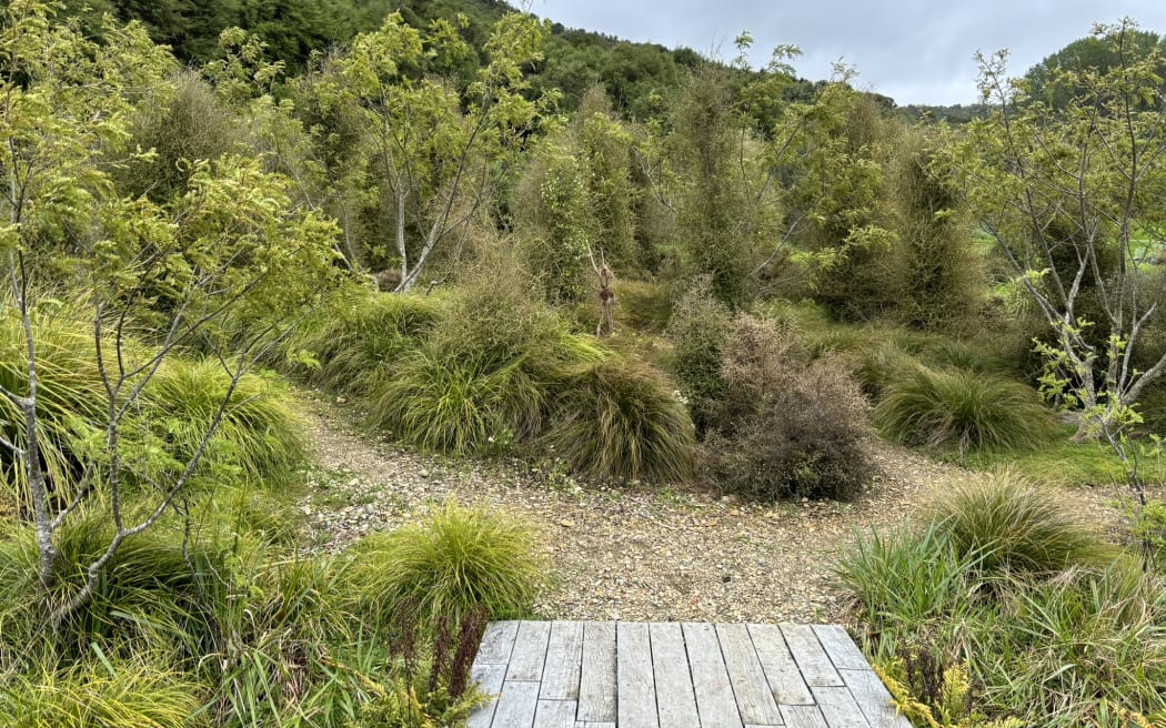 A wooden boardwalk leading onto a stone path that forks in scrub at the foot of a forest-cloaked hill.