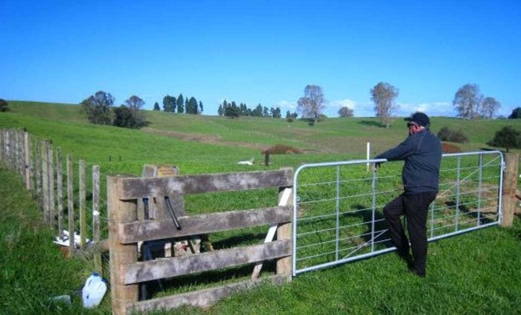 Maurie Zinsli looking into the cemetery.