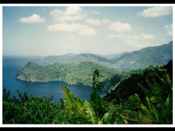 4qu7keo gallery image 4646