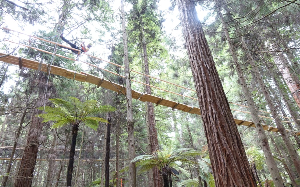 Redwoods Treewalk under construction.