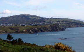 7511170 - porirua harbour new zealand