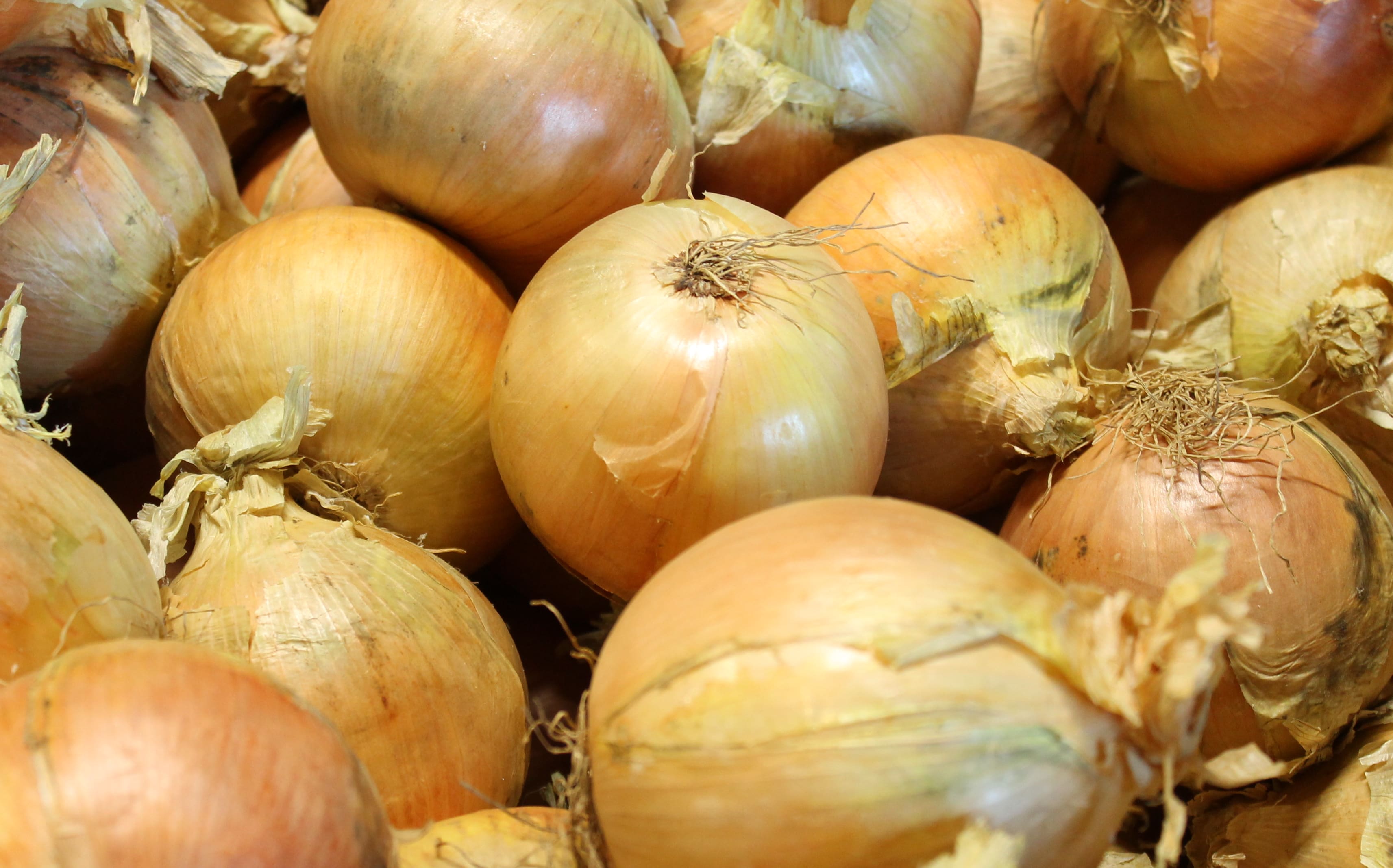 Onions