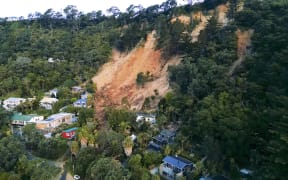 One of the land slips that has forced evacuations and red or yellow stickered homes at Muriwai.