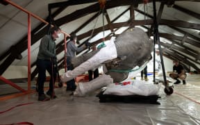 The museum's elephant was moved off the premises after an expert taxidermist segmented it into pallet-sized pieces so it could be taken through storeroom doors.