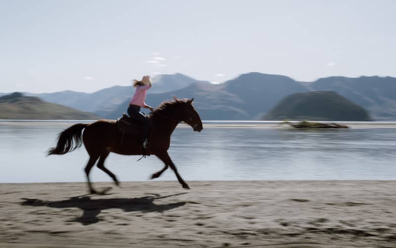 An image from a recent Shepherdess magazine edition.