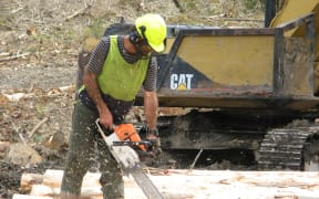Jason Campbell Mangatu Forest East Coast
