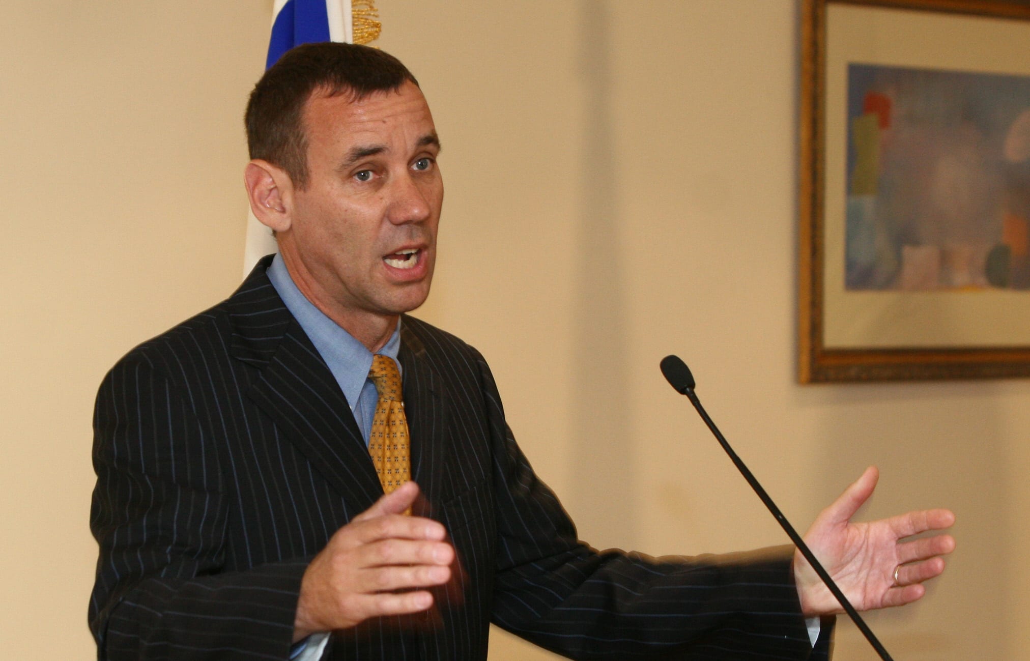 Mark Regev, pictured here in 2008, has said the comments did not reflect the embassy or the government's view.