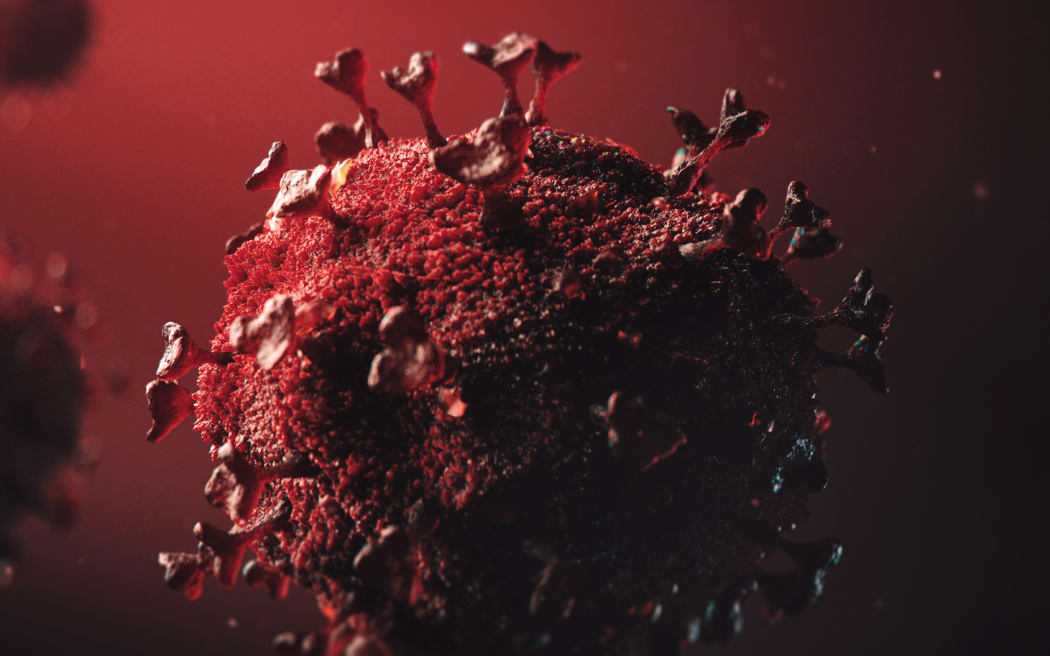 3D model design of the novel coronavirus virion