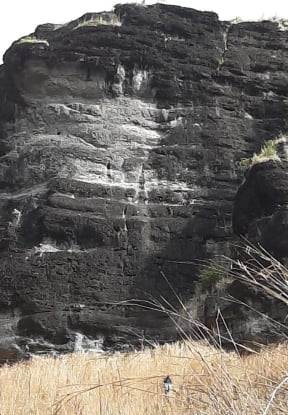 The area being investigated by police in the Nausori Highlands