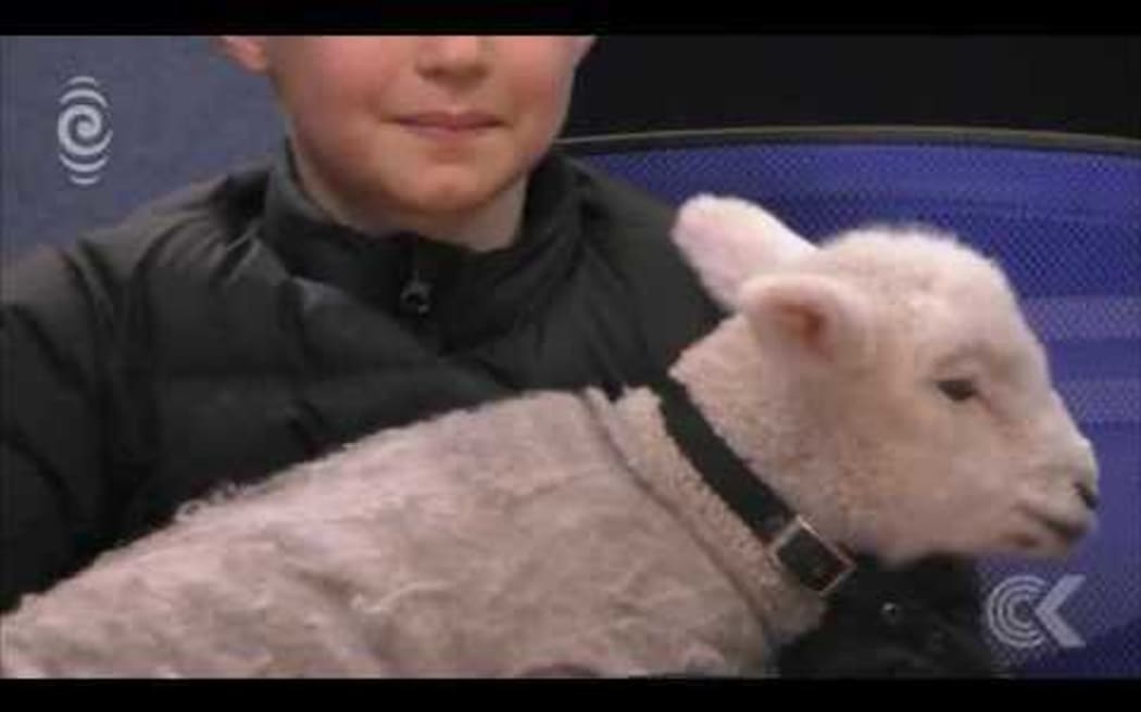 Rob Hamill on NZ's Olympic success   and a lamb
