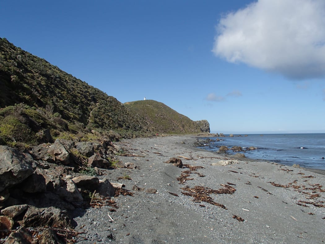 Pencarrow lighthouse and beach