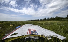 Wreckage of Malaysia Airlines flight MH17 in a field near the village of Grabove, in the region of Donetsk on 20 July 2014.