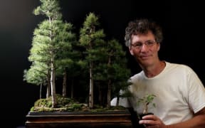Nigel Saunders has become YouTube famous with his carefully curated collection of around 180 bonsai trees.