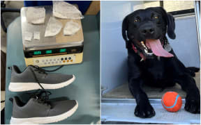 Drugs found by detector dog Bart at Rimutaka Prison.