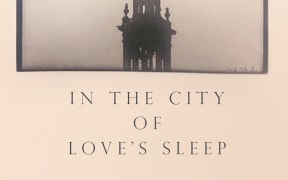 cover of the book "In the City Of Love's Sleep" by Lavinia Greenlaw