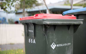 Recycling and rubbish bins outside Penny Bright's Auckland home.
