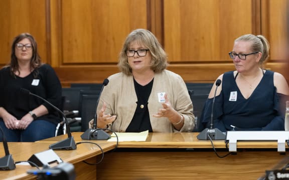 Tara Robinson (centre) of the Tourette's Association New Zealand speaks to Parliament's Health Select Committee, 3 May 2023. Her fellow Association members Shelley Reynolds (left) and Hayley Seath (right) also attended.