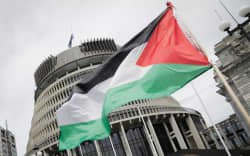 Protesters gathered at Parliament on 12 December to call for an immediate and permanent ceasefire in Gaza.