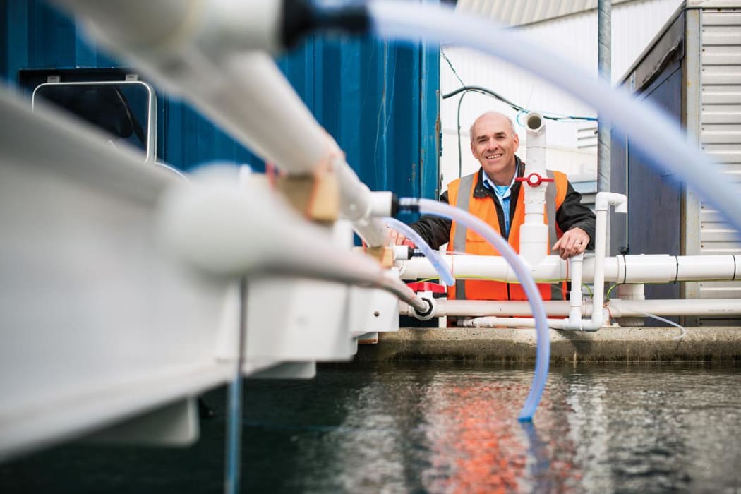 Cliff Law leads a $4.9million project to investigate the impact of coastal acidification on marine life.