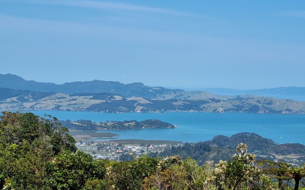 Kennedy Bay, Coromandel Peninsula