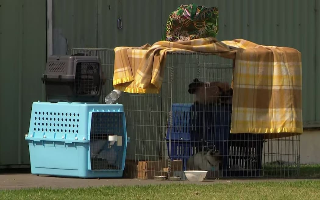 Authorities say about 50 people, some pets and livestock spent the night at Colac Otway Shire's emergency relief centre.
