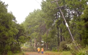 Power poles were brought down around the Auckland area by the strong winds.