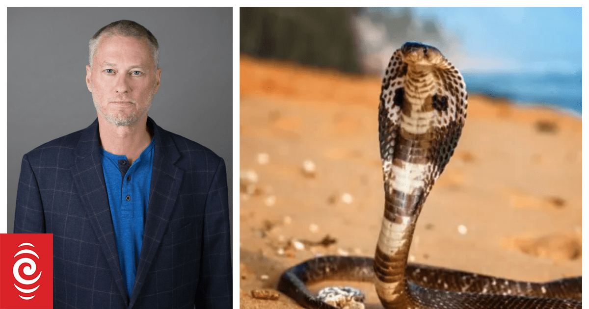 Tim Friede injected himself with snake venom 856 times | RNZ