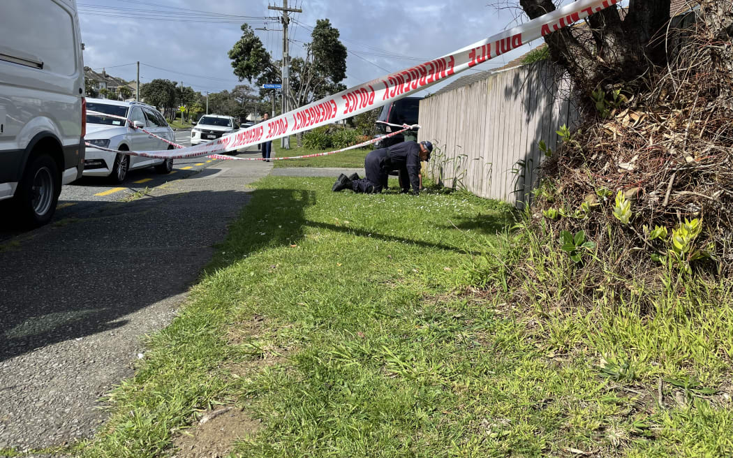 A man is seriously hurt after being shot in the legs trying to stop people breaking into vehicles in Porirua. The incident took place on Monday night in Tītahi Bay, and police are appealing for information.