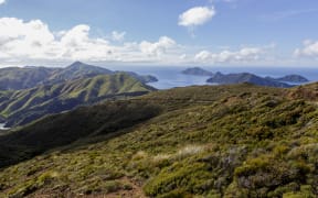Rangitoto ki te Tonga / d'Urville Island.
