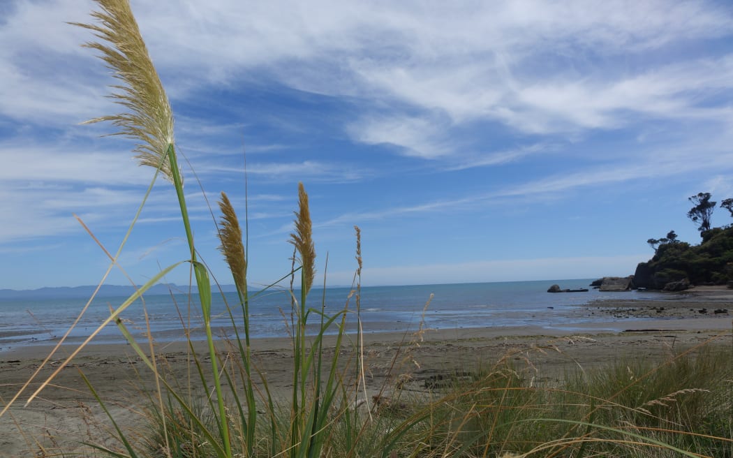 Dutch explorer Abel Tasman dropped anchor in Mohua (Golden Bay, originally named Murderer’s Bay) in December 1642.