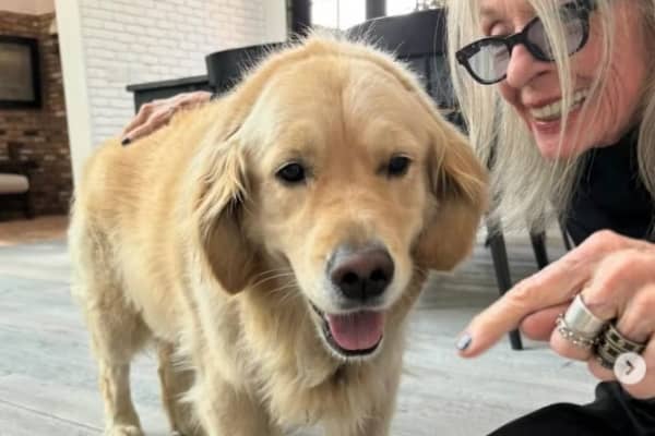 Diane Keaton's last Instagram post was in April.