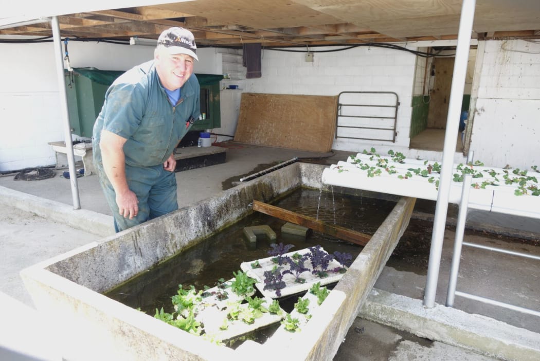 Ben Smith and his mini fish farm.