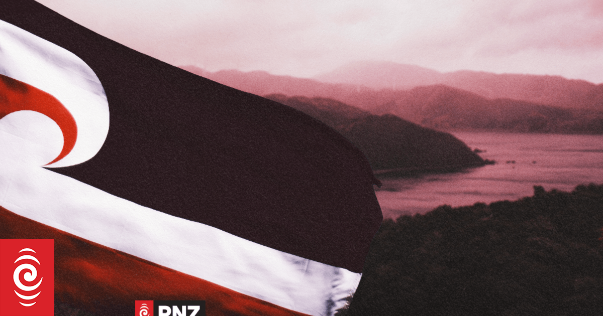 Party People Season 2 Episode 15 14th June 2022 Rnz