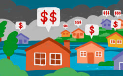 Houses in flood plain with house values.