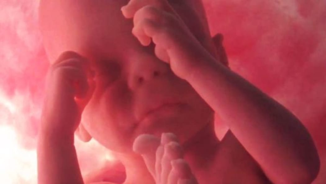Foetus in the womb