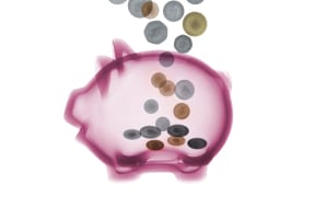 Piggy bank with coins, X-ray (Photo by NICK VEASEY/SCIENCE PHOTO LIBRAR / NVY / Science Photo Library via AFP)