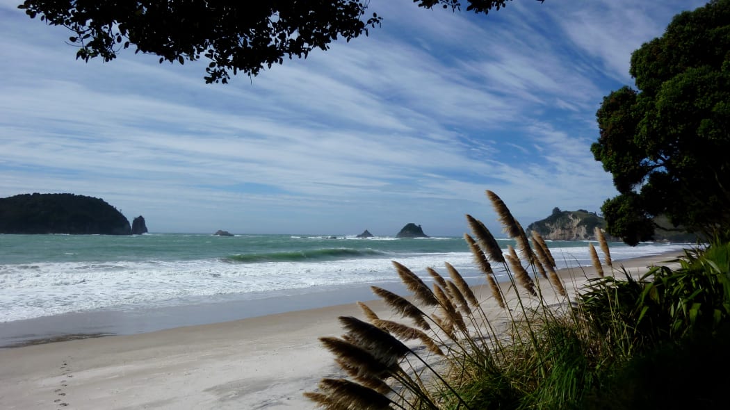 coromandel beach