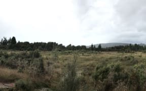 A portion of Tony Barrett's land.