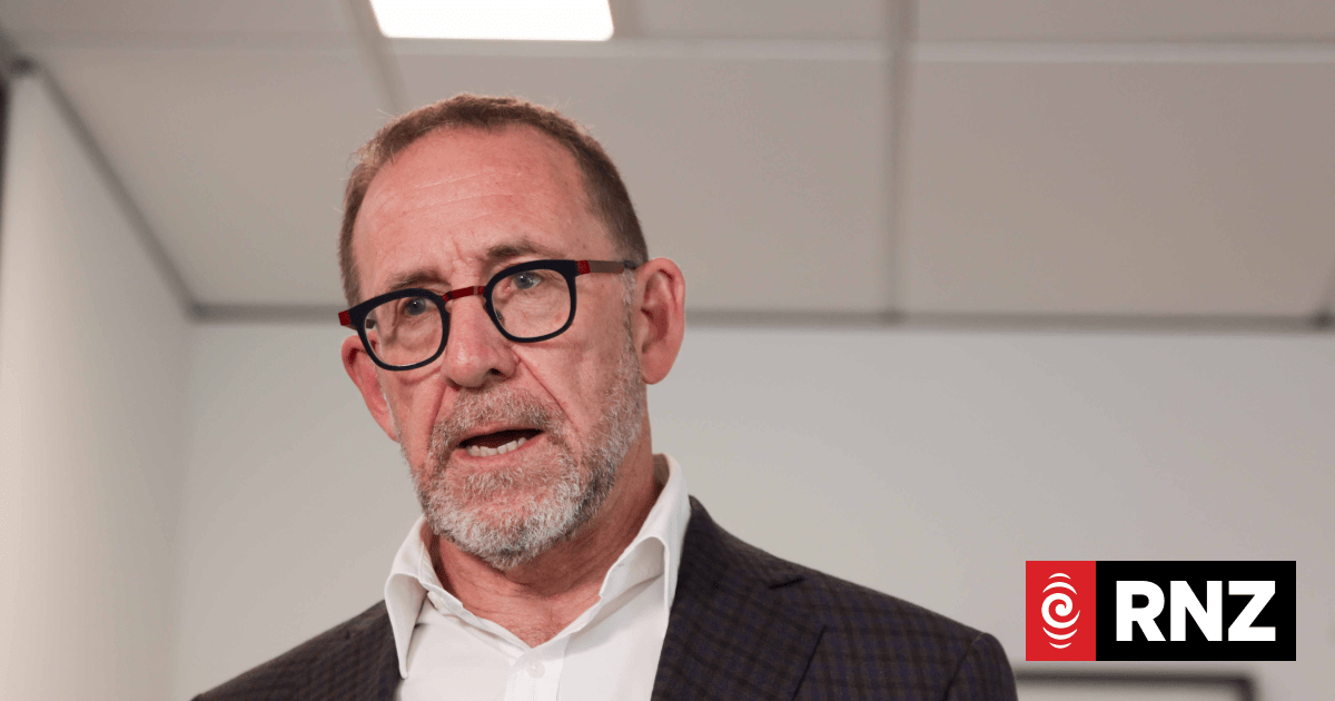 Andrew Little tells review panel it's not their role to look at Golden Mile cost efficiency