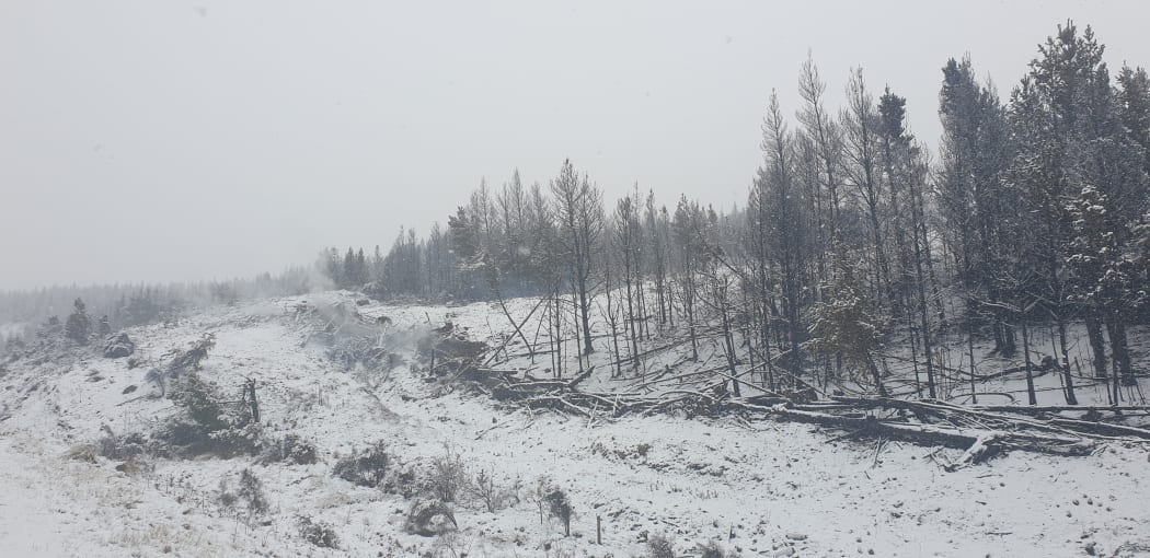 Snow in the Mackenzie country after the large fire near Twizel.