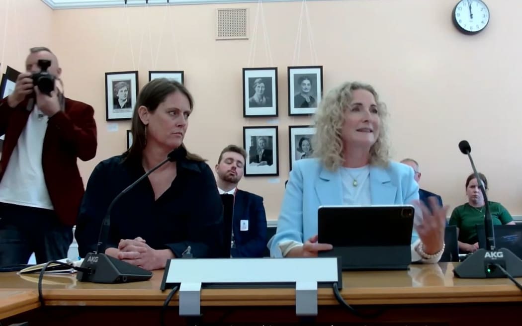 Sinead Boucher and Joanna Norris back the Fair Digital News Bargaining Bill in select committee hearing at Parliament on Thursday.