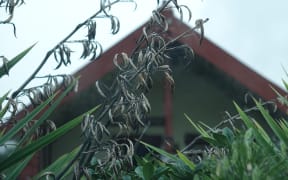 Hiruharama Marae near Ruatoria