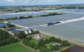 More than 90 percent of tomatoes, capsicum and cucumber in New Zealand are grown as covered crops, according to GNS.