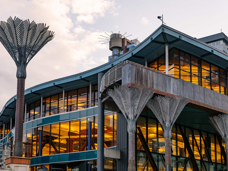 Te Matapihi Wellington Library