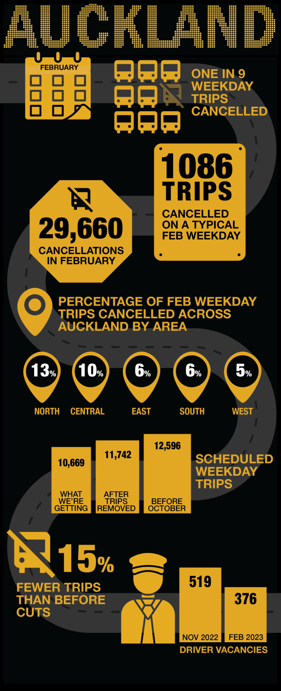 Infographic about Auckland buses