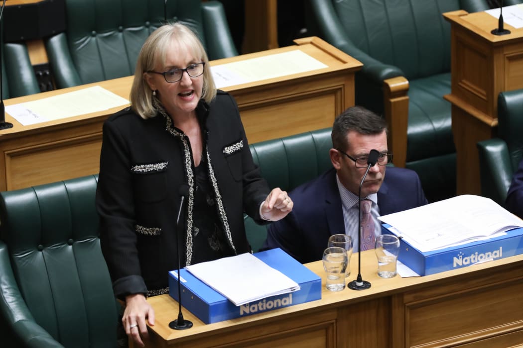 National MP Amy Adams debating in the House