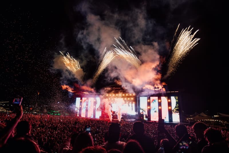 Rhythm and Vines on New Year's Eve, 2024.