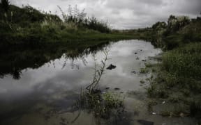 Pourewa Stream