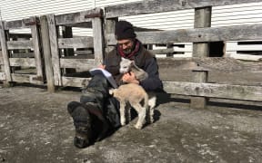 Tim Saunders: poetry and lambs