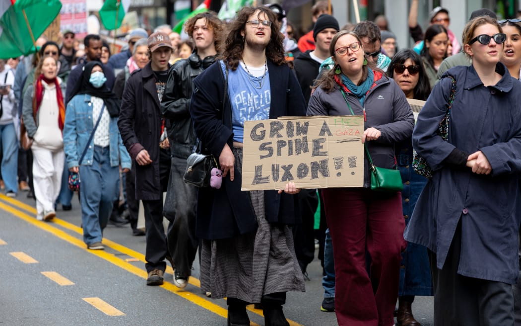 Wellington Gaza protest